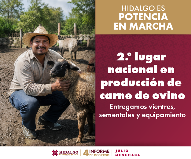 2do lugar nacional producción de carne